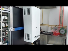 10 লিটার ক্ষমতা গ্যাস ওয়াটার হিটার ভারসাম্যযুক্ত ফ্লু সিস্টেম দ্রুত গরম